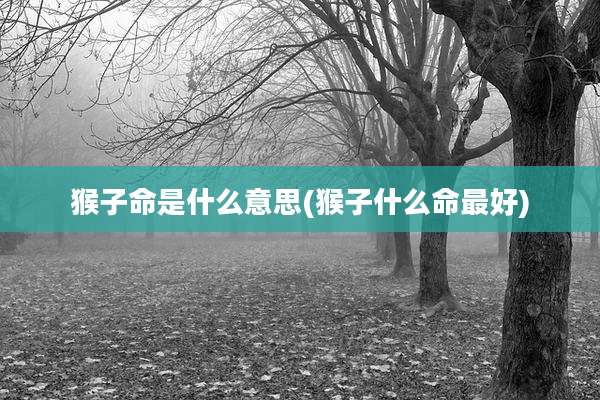 猴子命是什么意思(猴子什么命最好)