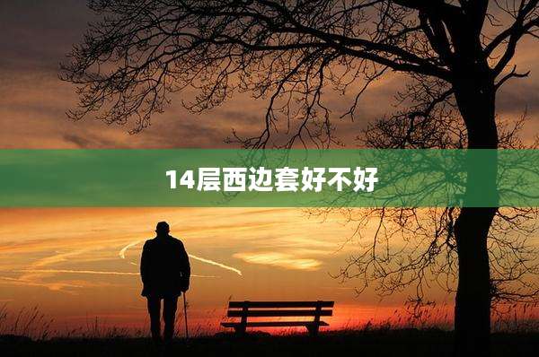 14层西边套好不好