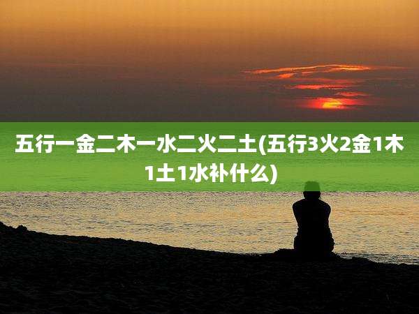 五行一金二木一水二火二土(五行3火2金1木1土1水补什么)