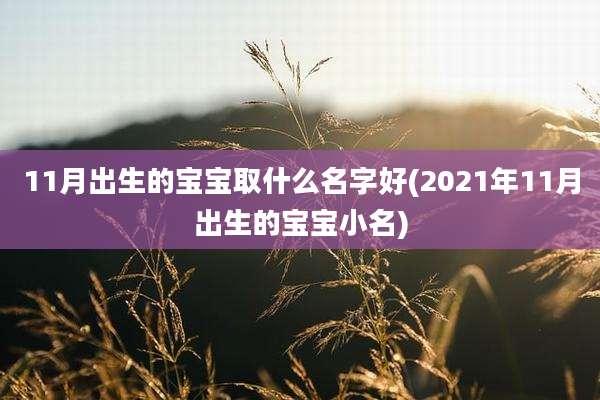 11月出生的宝宝取什么名字好(2021年11月出生的宝宝小名)