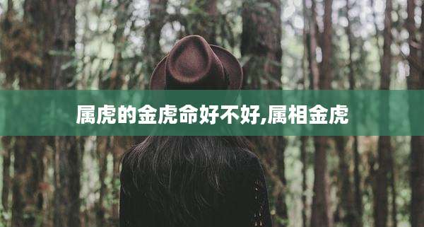 属虎的金虎命好不好,属相金虎