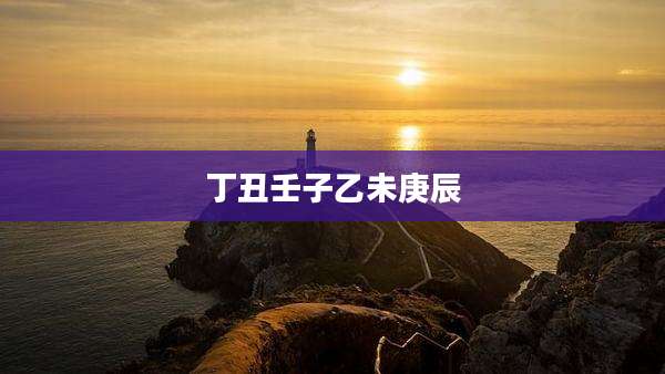 丁丑壬子乙未庚辰