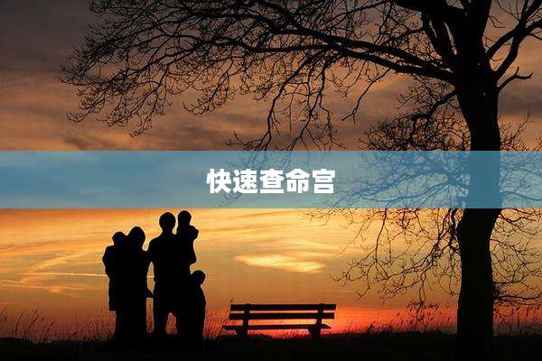 快速查命宫