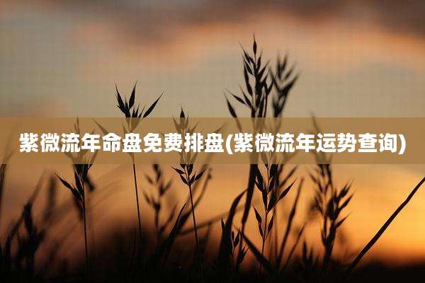 紫微流年命盘免费排盘(紫微流年运势查询)