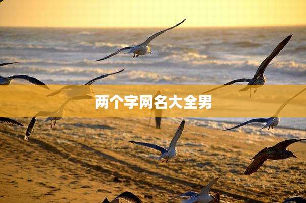 两个字网名大全男