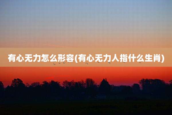 有心无力怎么形容(有心无力人指什么生肖)