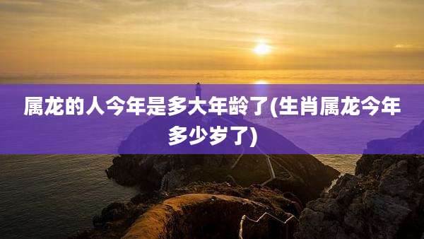 属龙的人今年是多大年龄了(生肖属龙今年多少岁了)