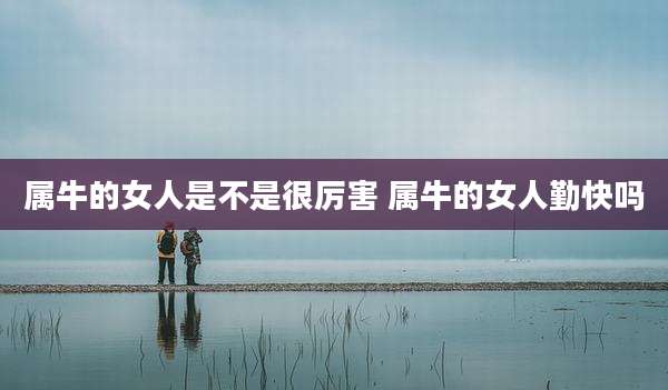 属牛的女人是不是很厉害 属牛的女人勤快吗