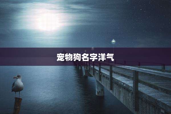 宠物狗名字洋气