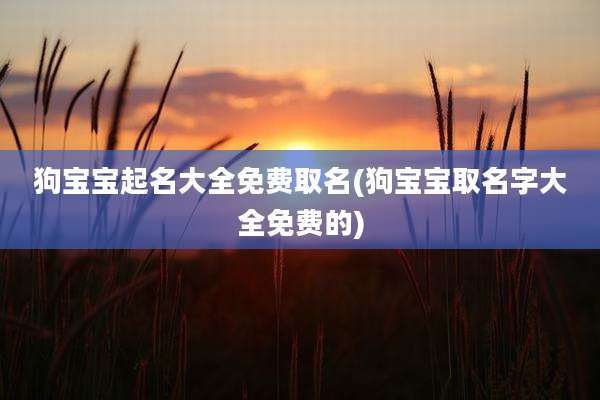 狗宝宝起名大全免费取名(狗宝宝取名字大全免费的)