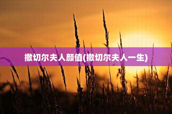 撒切尔夫人颜值(撒切尔夫人一生)