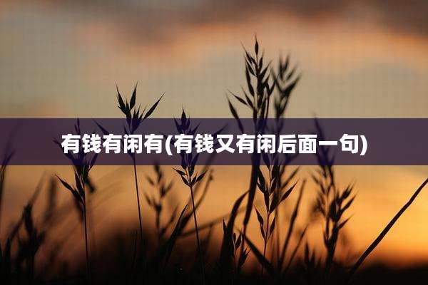 有钱有闲有(有钱又有闲后面一句)
