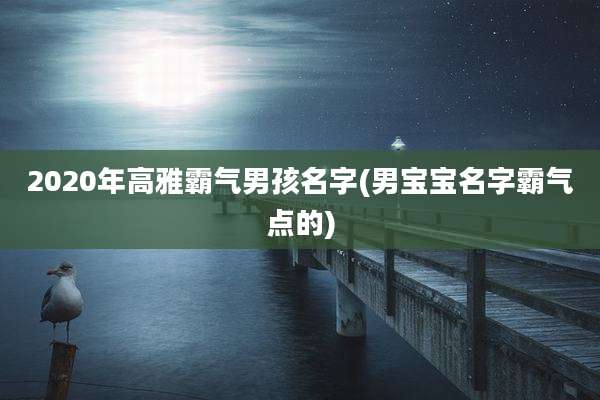 2020年高雅霸气男孩名字(男宝宝名字霸气点的)