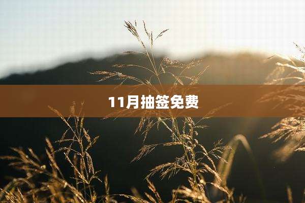 11月抽签免费