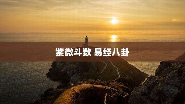 紫微斗数 易经八卦