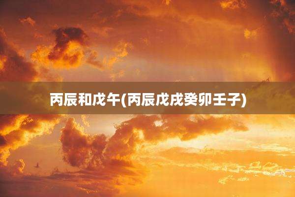 丙辰和戊午(丙辰戊戌癸卯壬子)