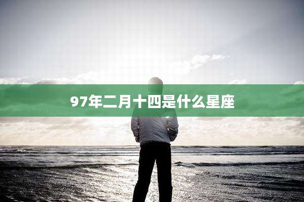 97年二月十四是什么星座