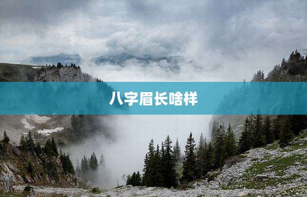 八字眉长啥样