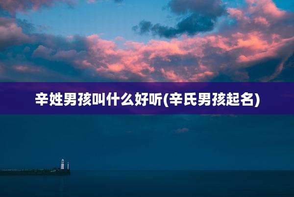 辛姓男孩叫什么好听(辛氏男孩起名)