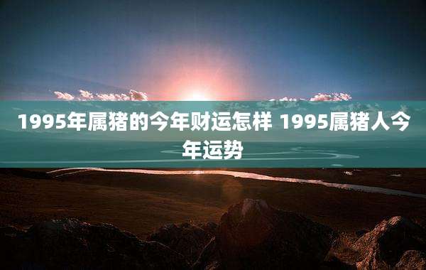 1995年属猪的今年财运怎样 1995属猪人今年运势