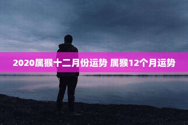 2020属猴十二月份运势 属猴12个月运势