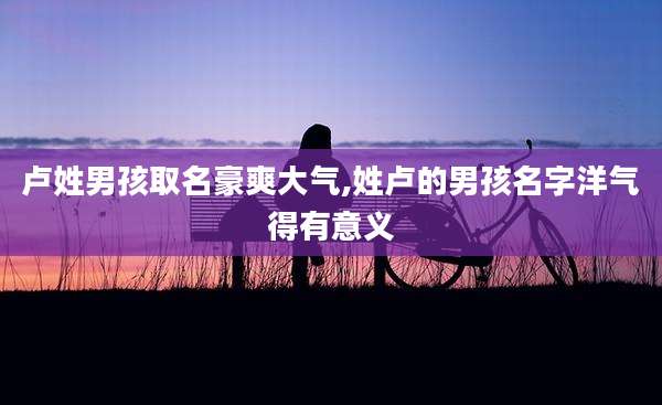 卢姓男孩取名豪爽大气,姓卢的男孩名字洋气得有意义