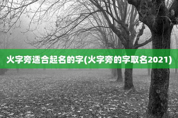 火字旁适合起名的字(火字旁的字取名2021)