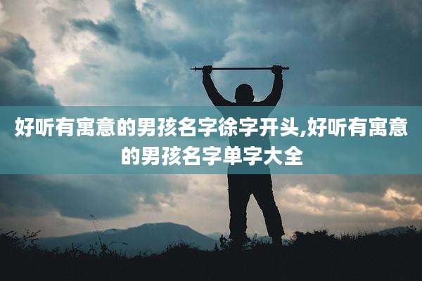 好听有寓意的男孩名字徐字开头,好听有寓意的男孩名字单字大全