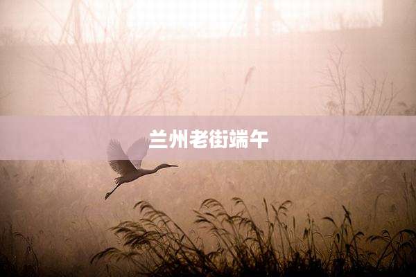 兰州老街端午