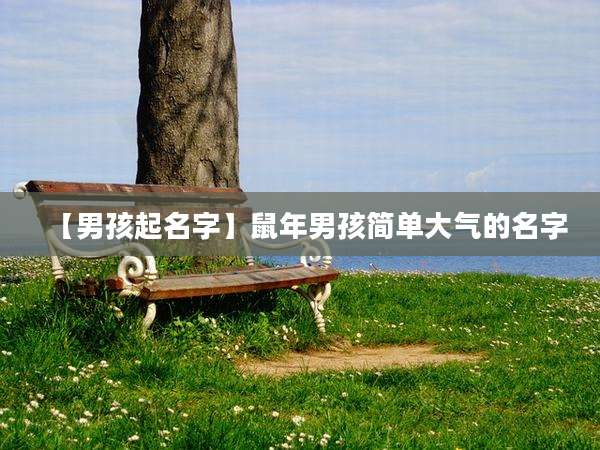 【男孩起名字】鼠年男孩简单大气的名字