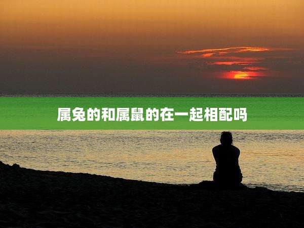 属兔的和属鼠的在一起相配吗