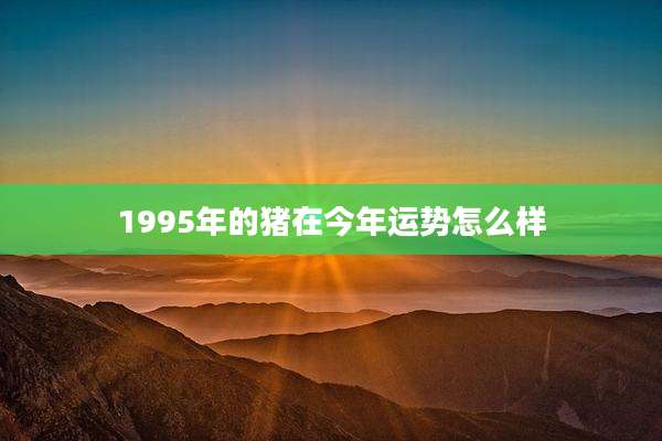 1995年的猪在今年运势怎么样