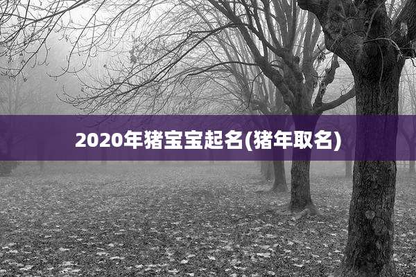 2020年猪宝宝起名(猪年取名)