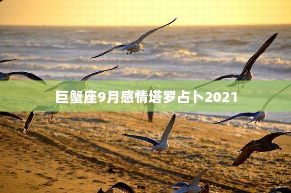 巨蟹座9月感情塔罗占卜2021