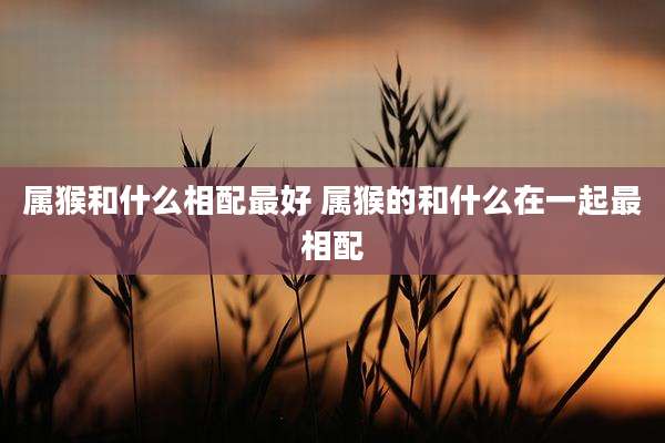 属猴和什么相配最好 属猴的和什么在一起最相配