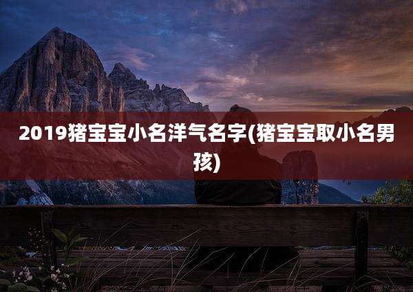 2019猪宝宝小名洋气名字(猪宝宝取小名男孩)