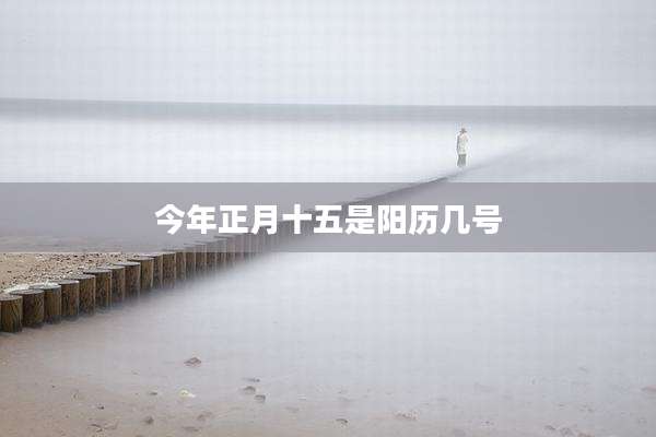 今年正月十五是阳历几号