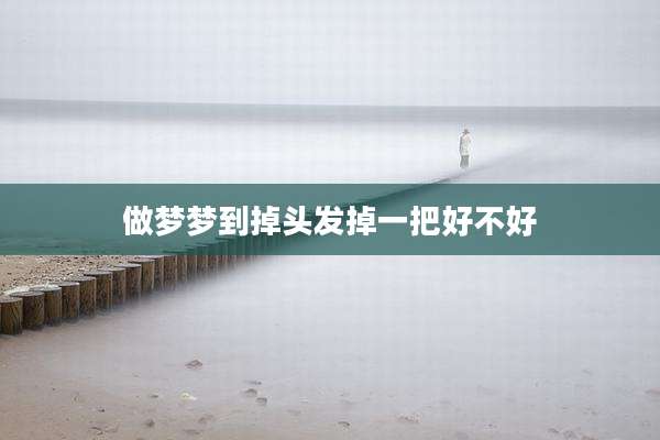 做梦梦到掉头发掉一把好不好