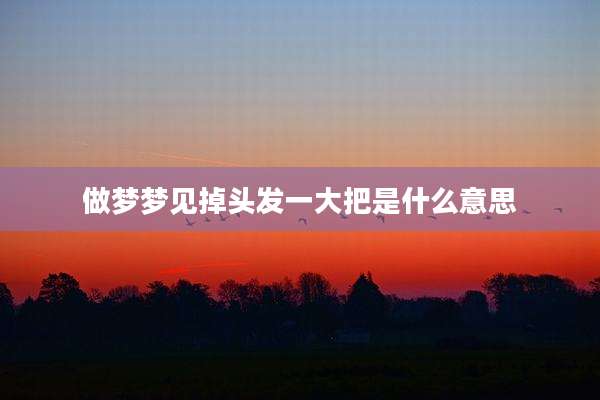 做梦梦见掉头发一大把是什么意思
