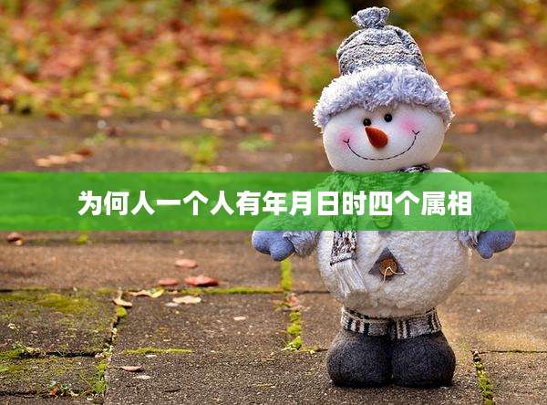 为何人一个人有年月日时四个属相