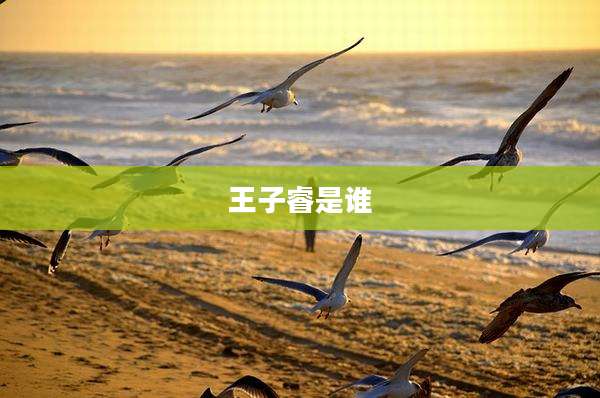 王子睿是谁