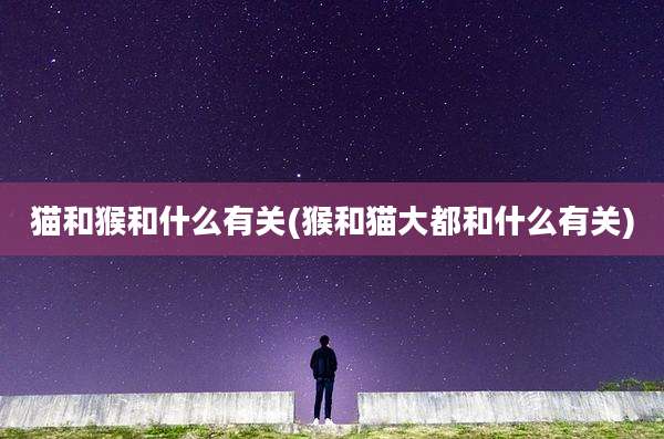 猫和猴和什么有关(猴和猫大都和什么有关)