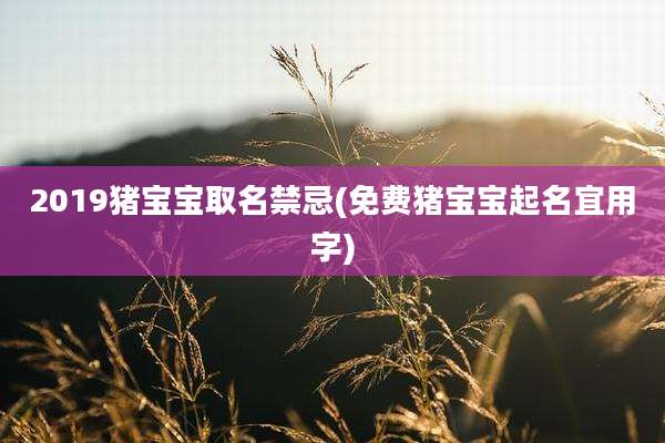 2019猪宝宝取名禁忌(免费猪宝宝起名宜用字)
