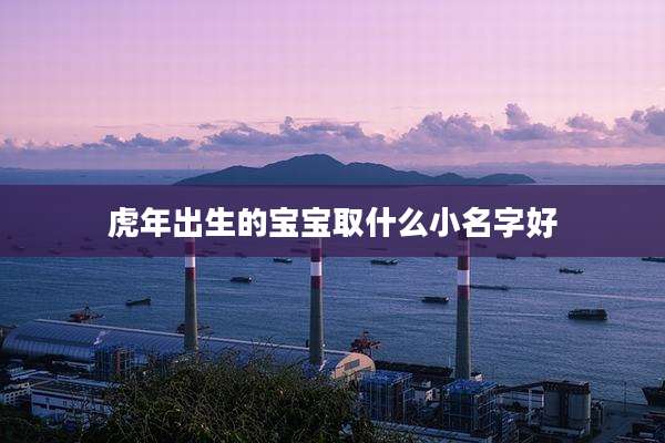 虎年出生的宝宝取什么小名字好