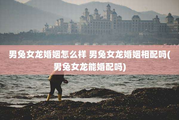 男兔女龙婚姻怎么样 男兔女龙婚姻相配吗(男兔女龙能婚配吗)