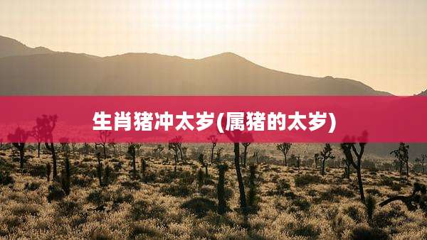 生肖猪冲太岁(属猪的太岁)