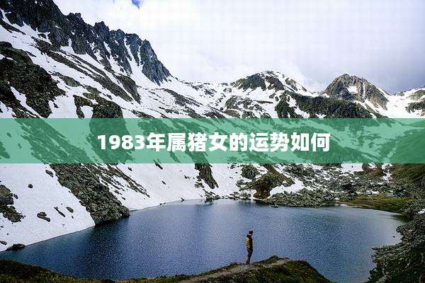 1983年属猪女的运势如何
