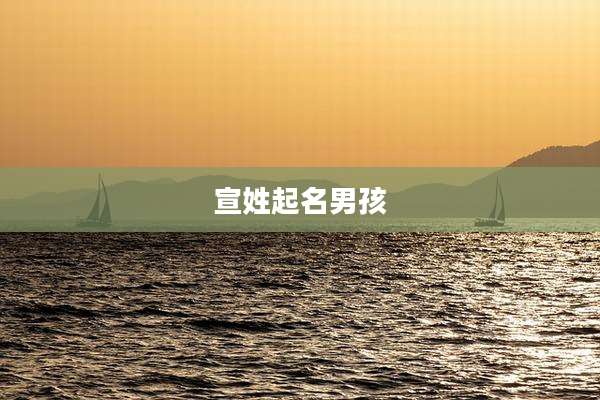 宣姓起名男孩