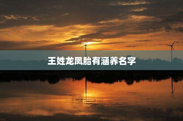 王姓龙凤胎有涵养名字