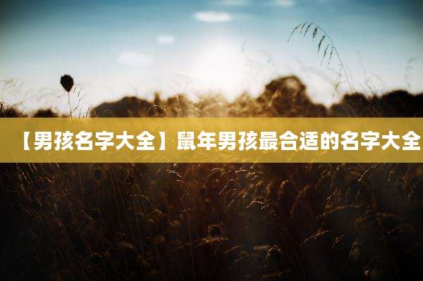 【男孩名字大全】鼠年男孩最合适的名字大全